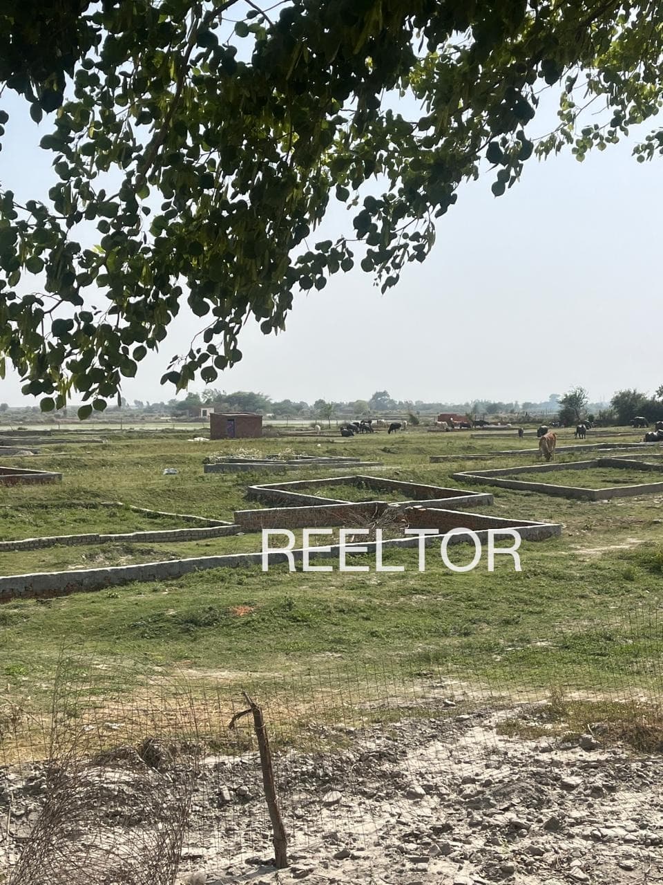 Plot For Sale In Tulsipur