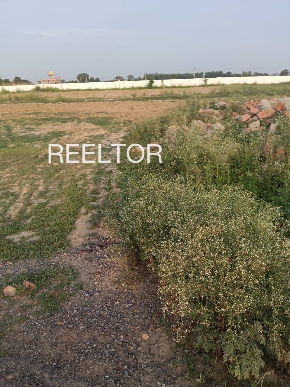 3 Bhk For Sale In Mindhaura Indergarh