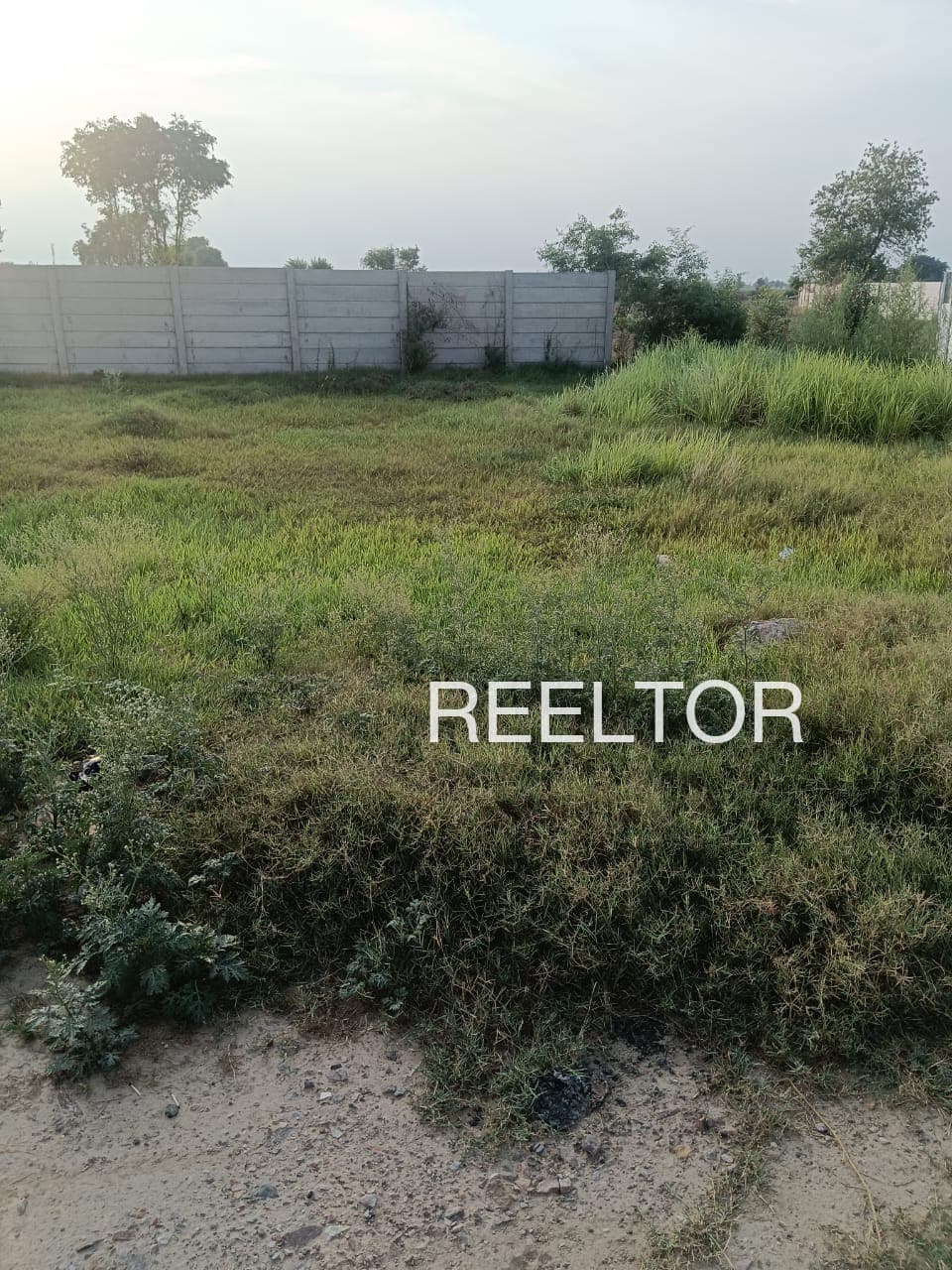 Explore 1 Bhk In Bhilewada For Sale Bhandara