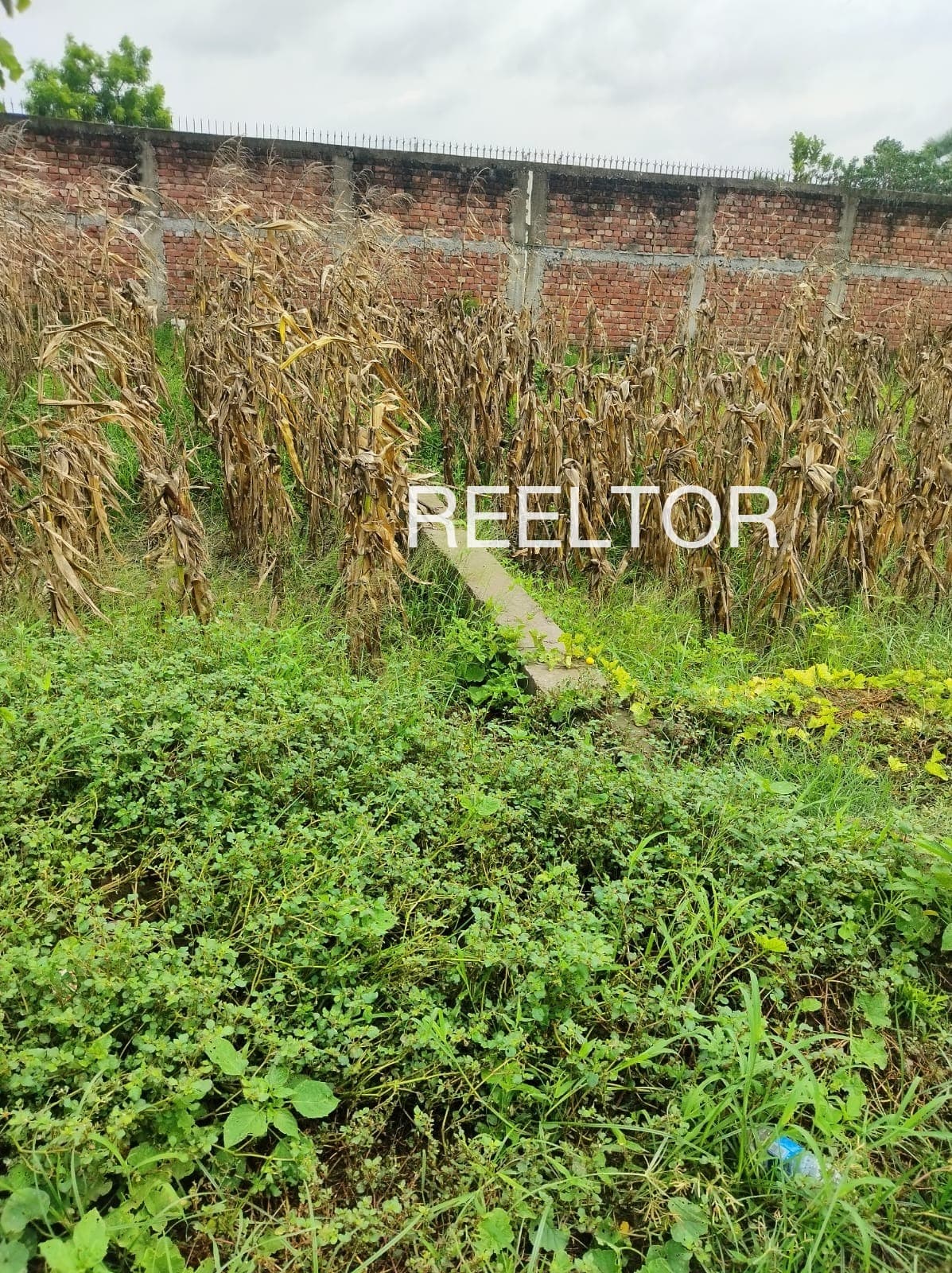 Buy 1 Bhk In Kalmparambu Colony Tirur