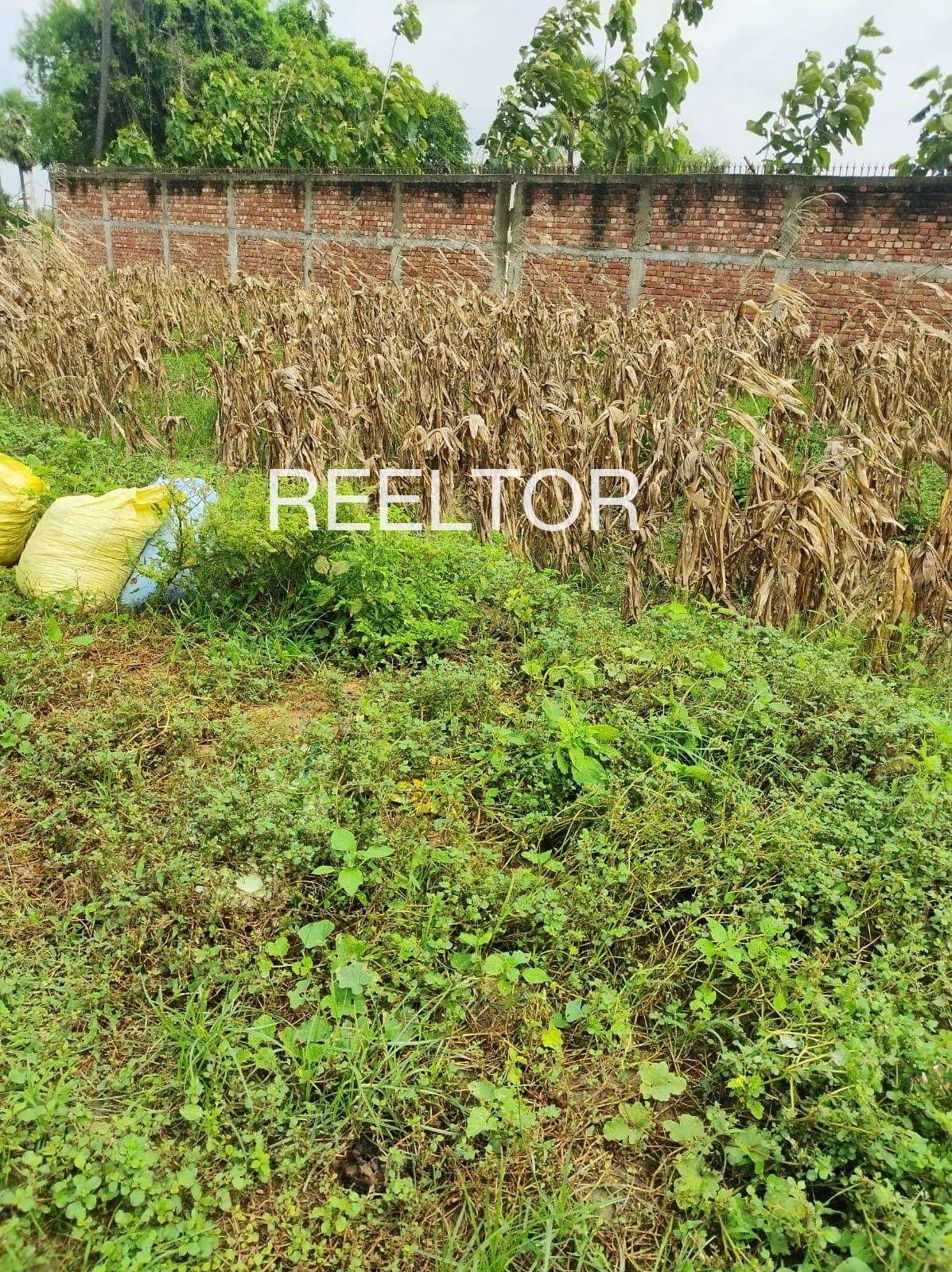 Plot For Sale In Thirupuvanam