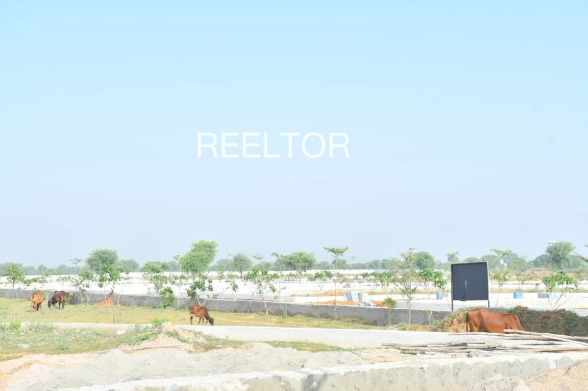 Explore 1 Bhk In Nandiali For Sale Fatehgarh Sahib