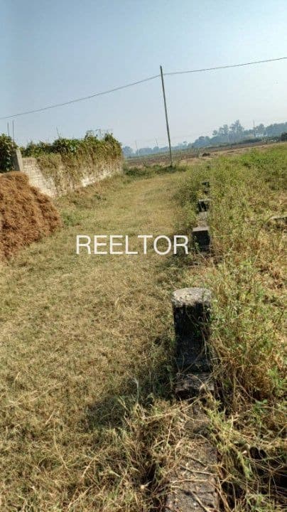 Explore 4 Bhk In Mirzapur For Sale Akola