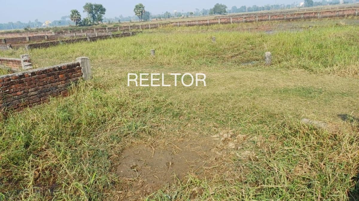 Buy 3 Bhk In Sukhanwala Faridkot