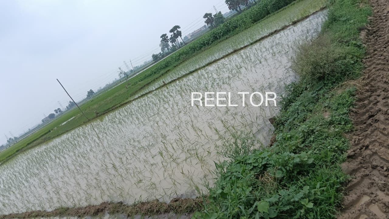 Plot For Sale In Nandura