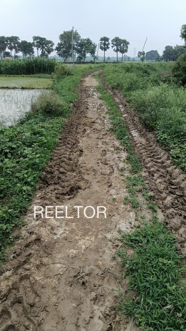 Buy 3 Bhk In Paneyogi Bhuntar