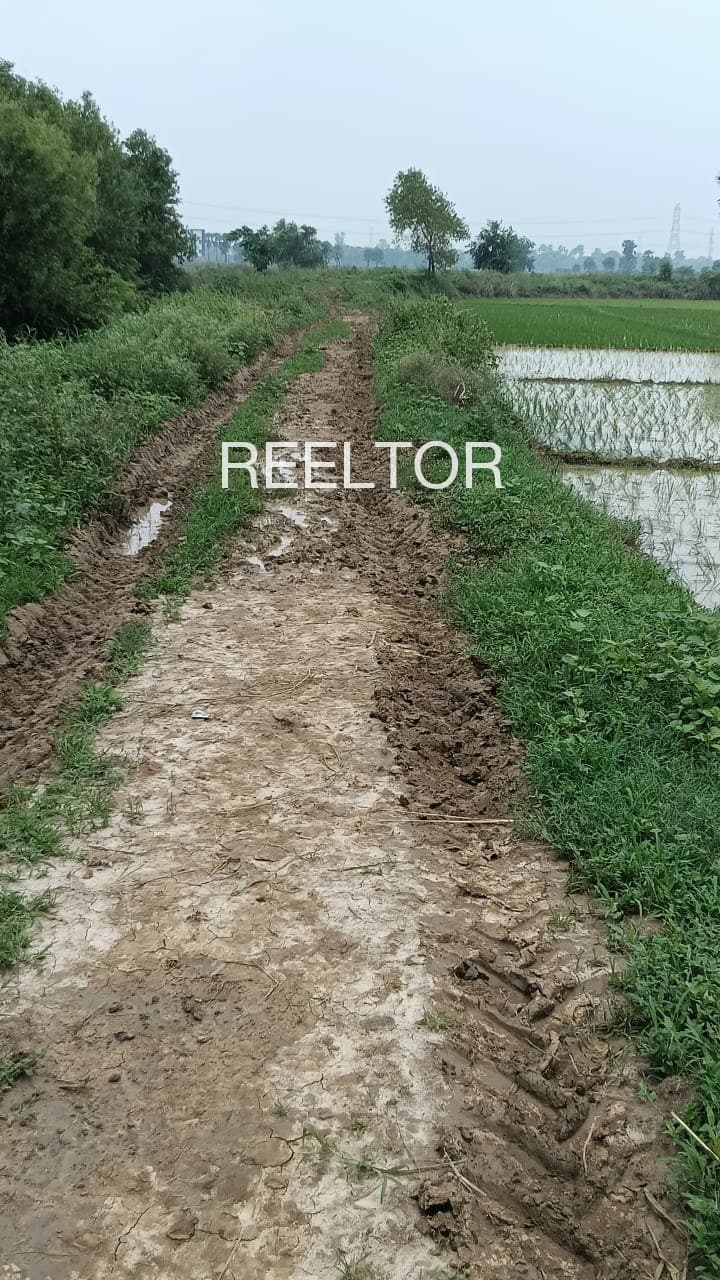 2 Bhk For Sale In Borgaon G Karanja