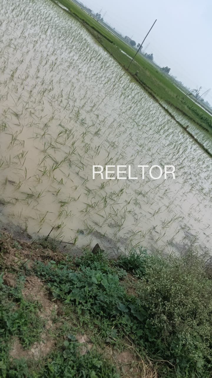 3 Bhk For Sale In Khanowal Ajnala