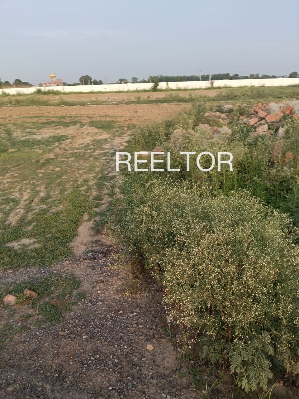 Available 3 Bhk In Bir Colony Bir