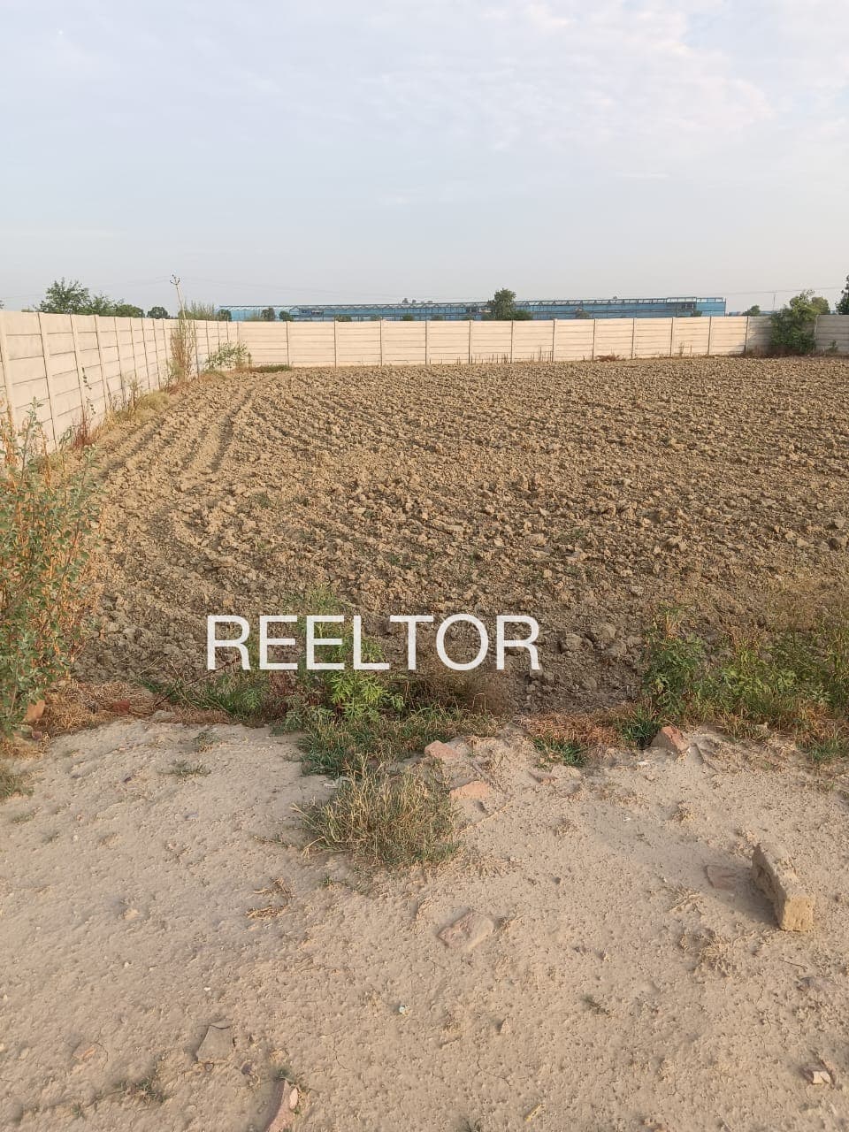 Buy 4 Bhk In Dholbey Rajgarh