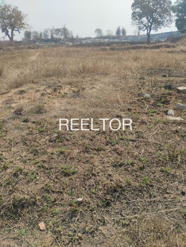 Plot For Sale In Soyagaon