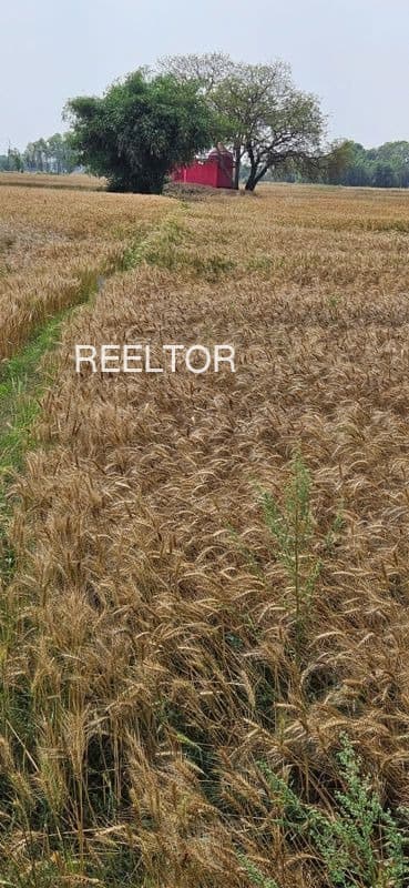 Buy 3 Bhk In Ramdeo Colony Jalore