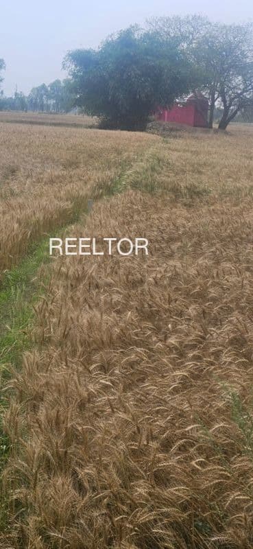 Available 2 Bhk In Girwar Sagar