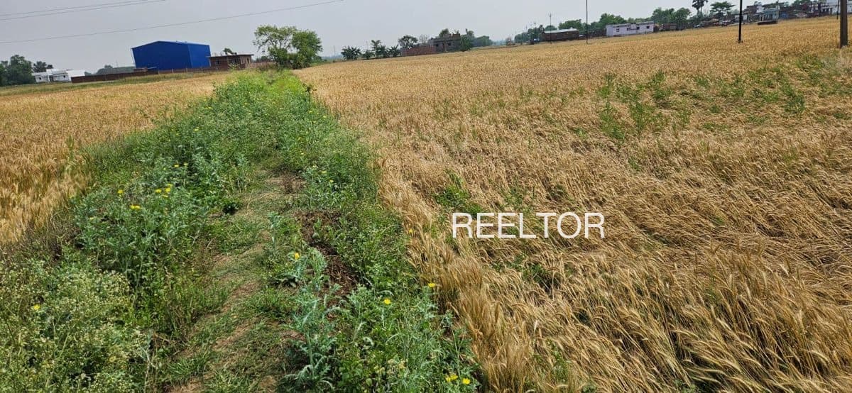 Available 3 Bhk In Chhabari Bhuntar