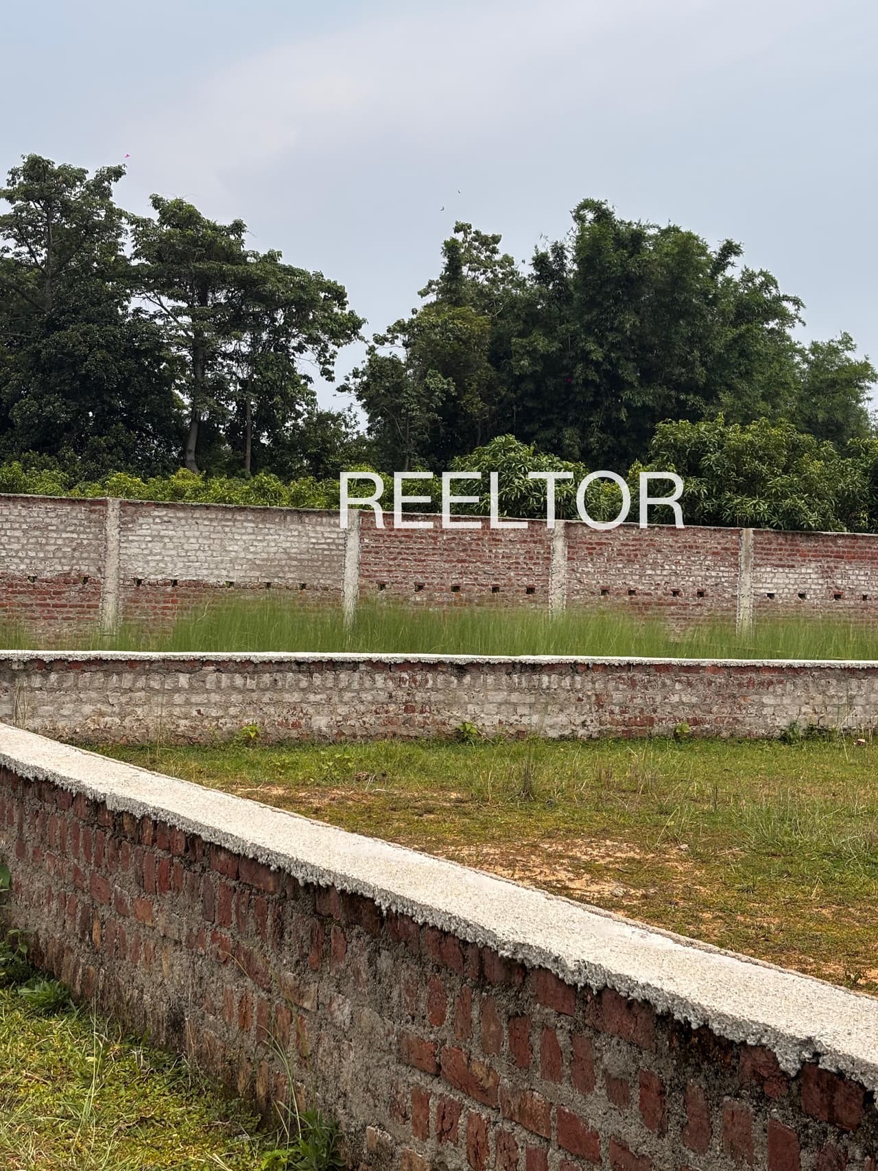 Available 3 Bhk In Dudhria Rajgarh