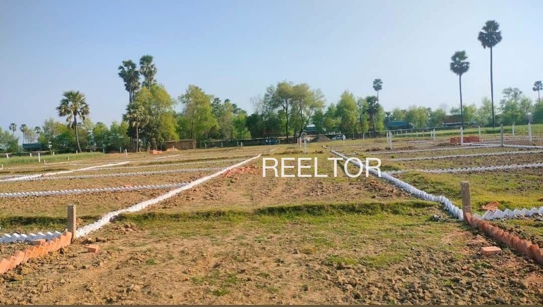 Explore 1 Bhk In Radhawa For Sale Fatehgarh Sahib