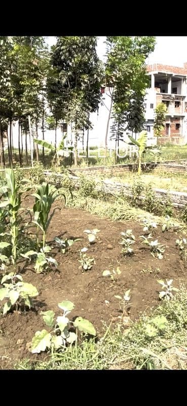 Buy 1 Bhk In Fort Manor Fort