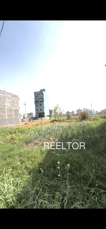 Explore 4 Bhk In Khiriya Nikhar For Sale Sagar