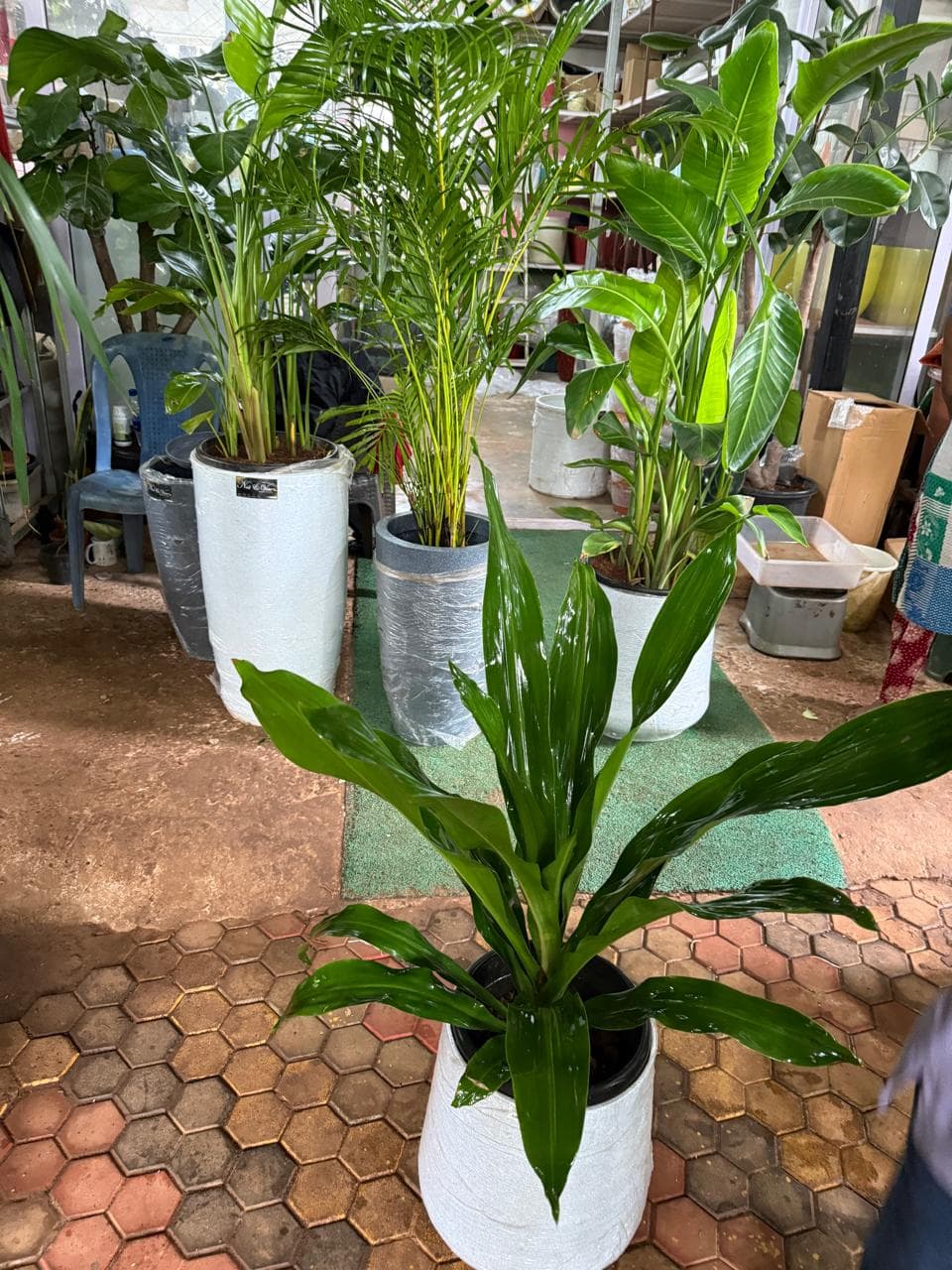 Find 4 Bhk In The Royal Residency For Rent Karnal