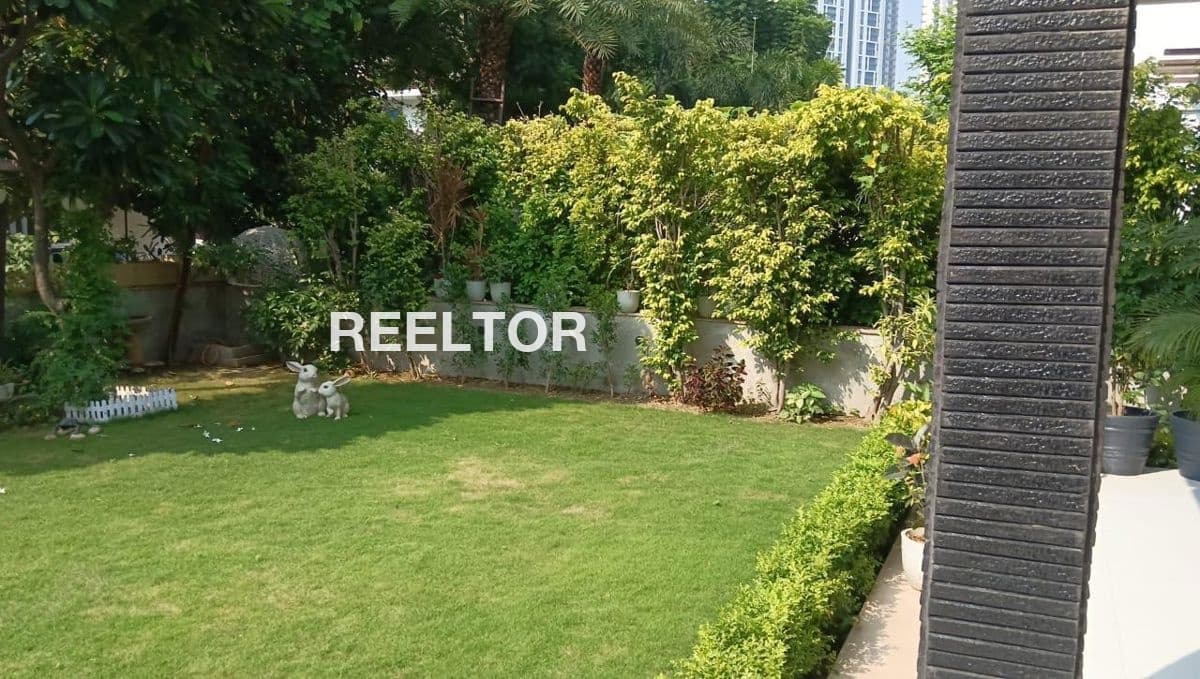 Villa For Rent In Dda Flats D Block Model Town
