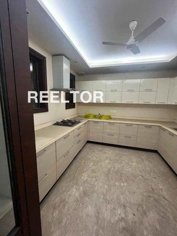 Villa For Rent In Green Park Hauz Khas