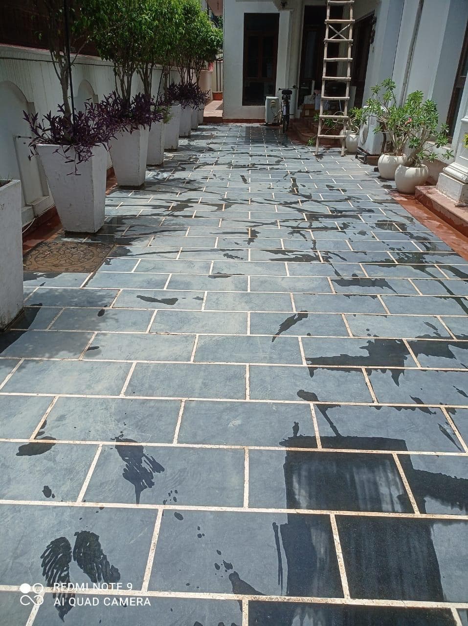 Villa For Rent In Dharampur Lodge Civil Lines