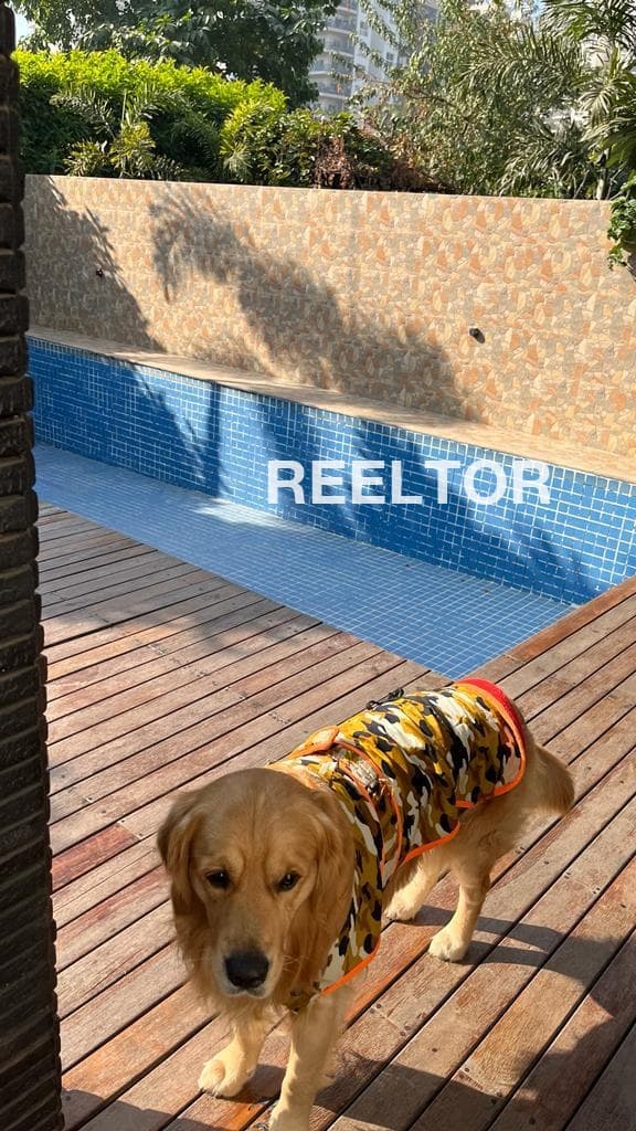 Office Space For Rent In H Block Model Town