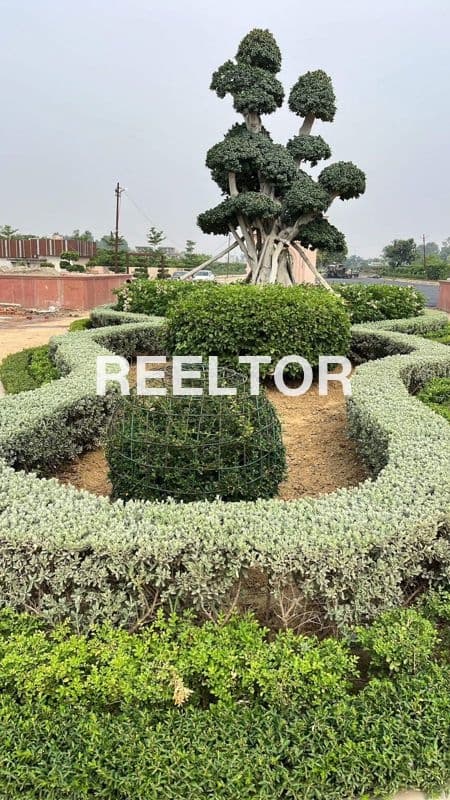 Villa For Rent In Kapashera Kapashera