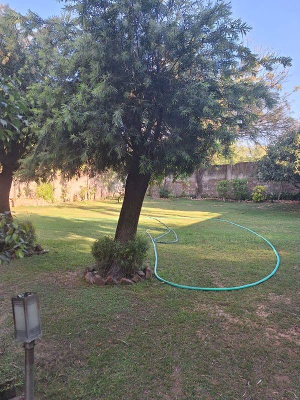 Paying Guest Near Delhi University North Campus