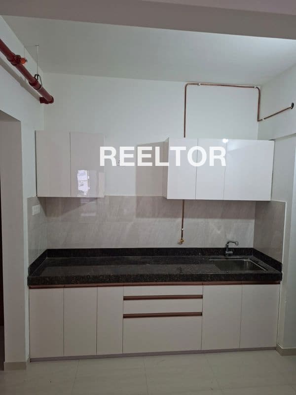 Villa For Rent In Haddu Mohalla Sarita Vihar