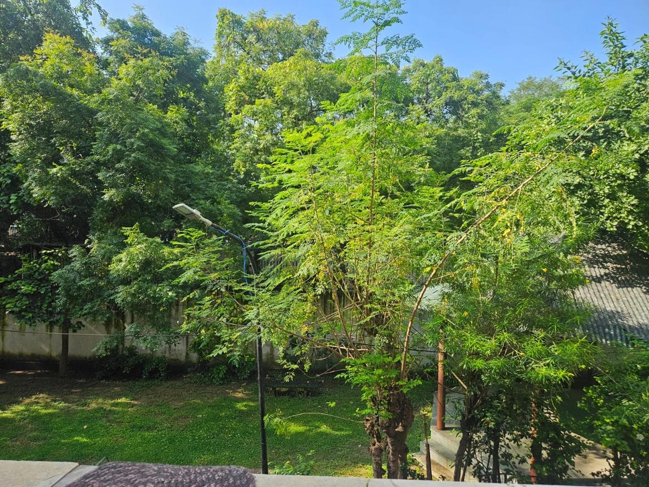 Villa For Rent In Bharat Nagar Defence Colony