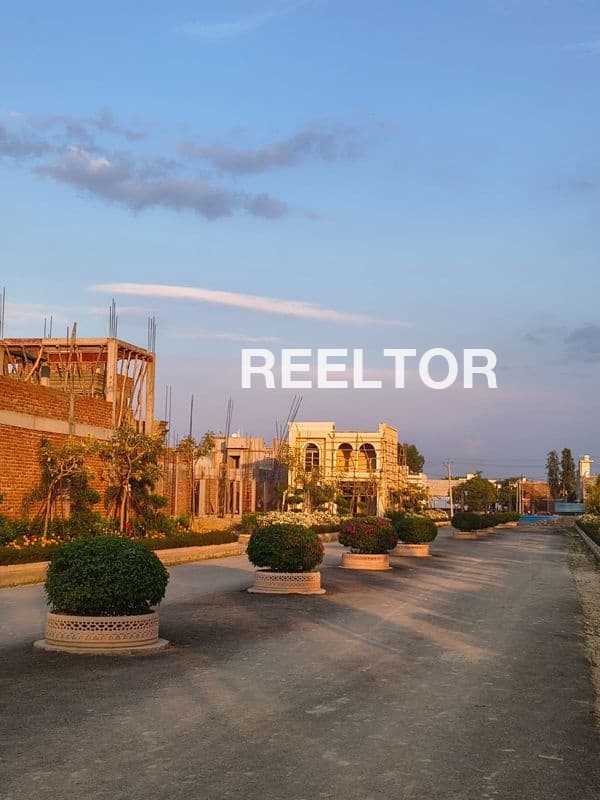 Villa For Rent In Dda Flats D Block Model Town