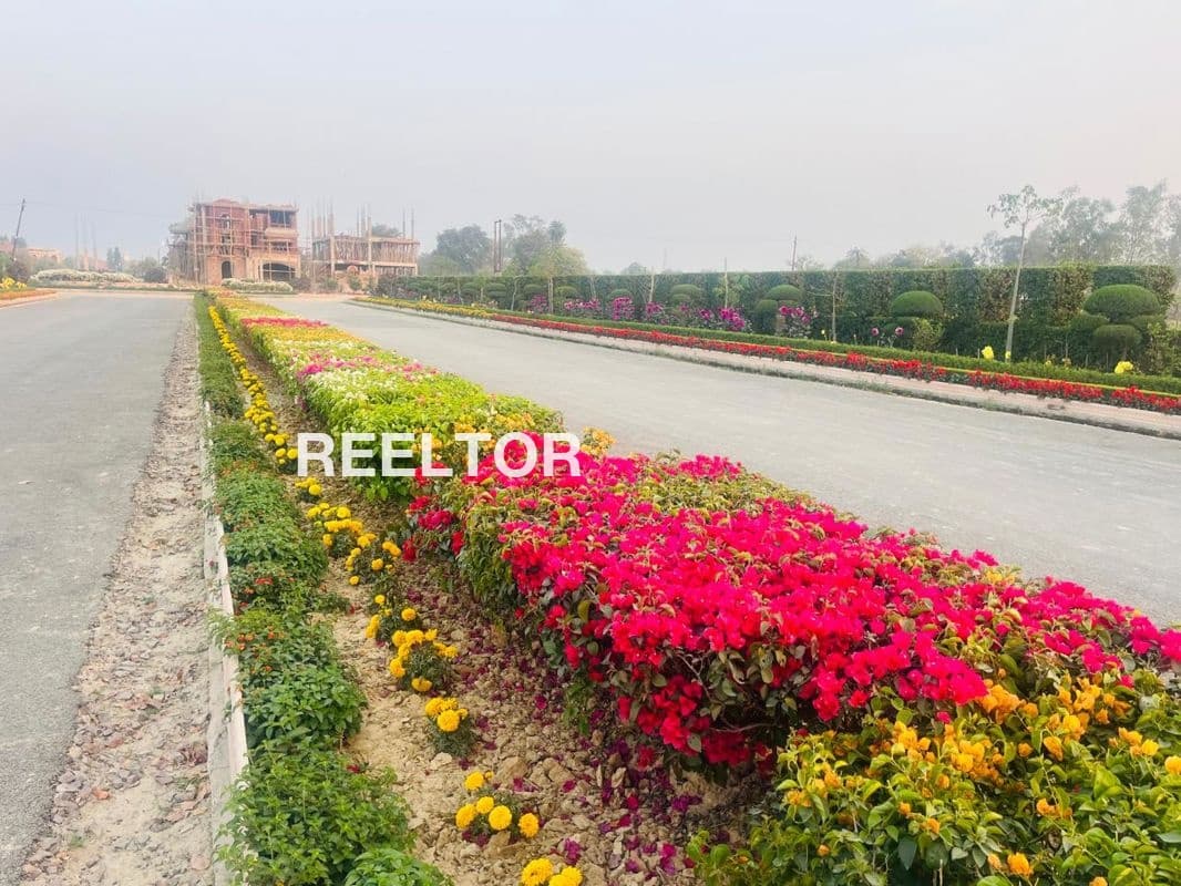 Villa For Rent In Block C 10 Yamuna Vihar