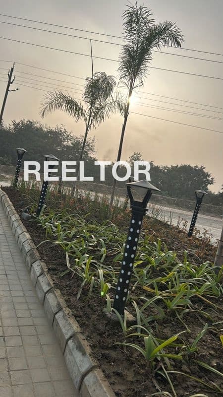 Villa For Rent In Sector 6 Vasant Vihar