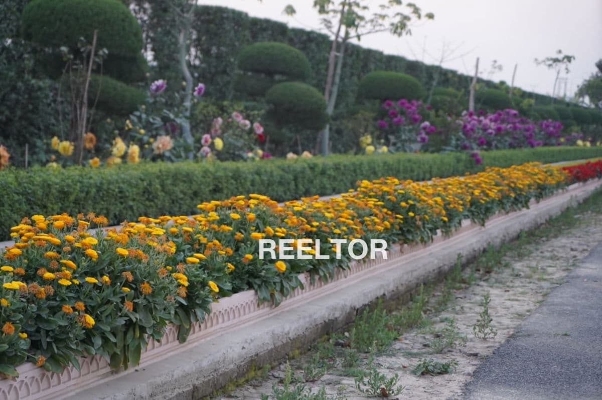 1 Bhk House For Rent In Ghanto Colony Kotpad