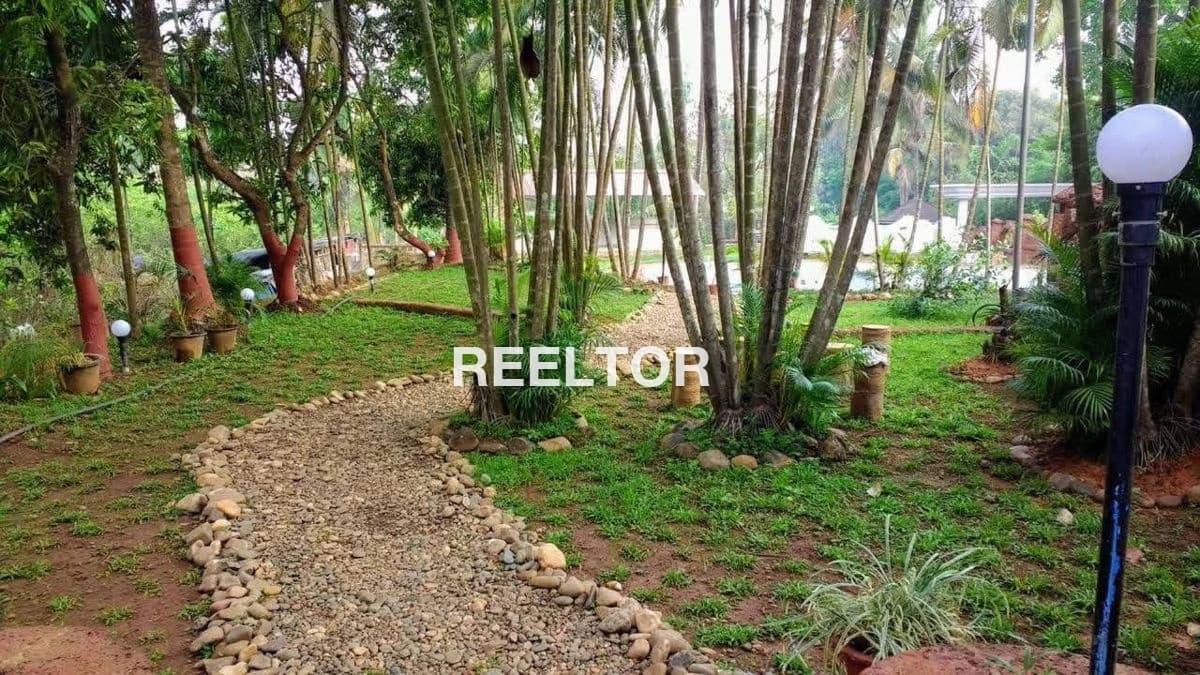 Office Space For Rent In Pocket J Sarita Vihar