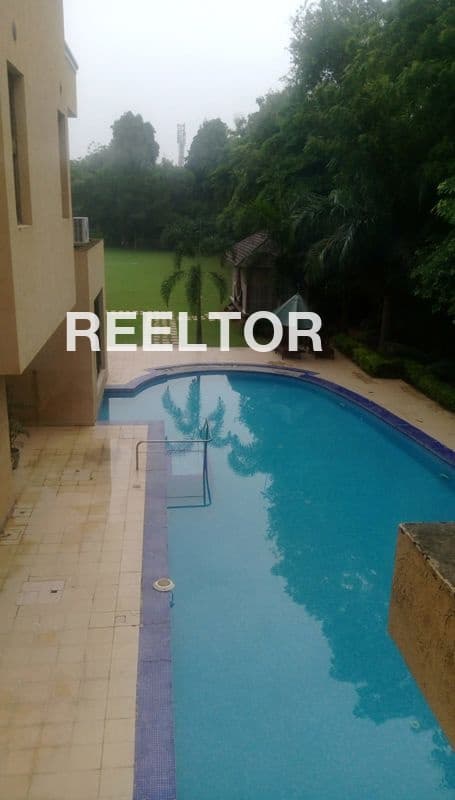 Villa For Rent In Bapu Park Defence Colony