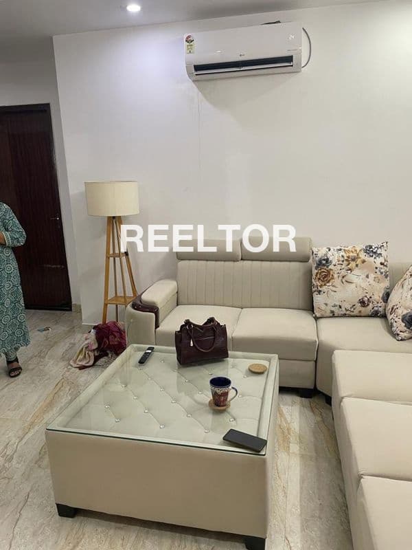 Villa For Rent In Dda Flats F Block Model Town
