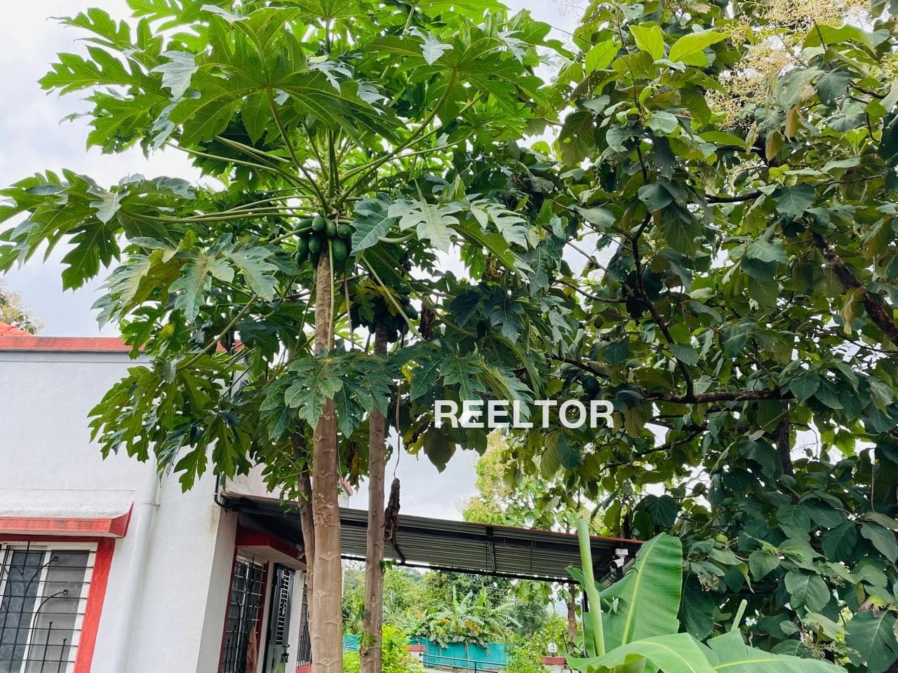 Villa For Rent In Shyodaspura Uniara