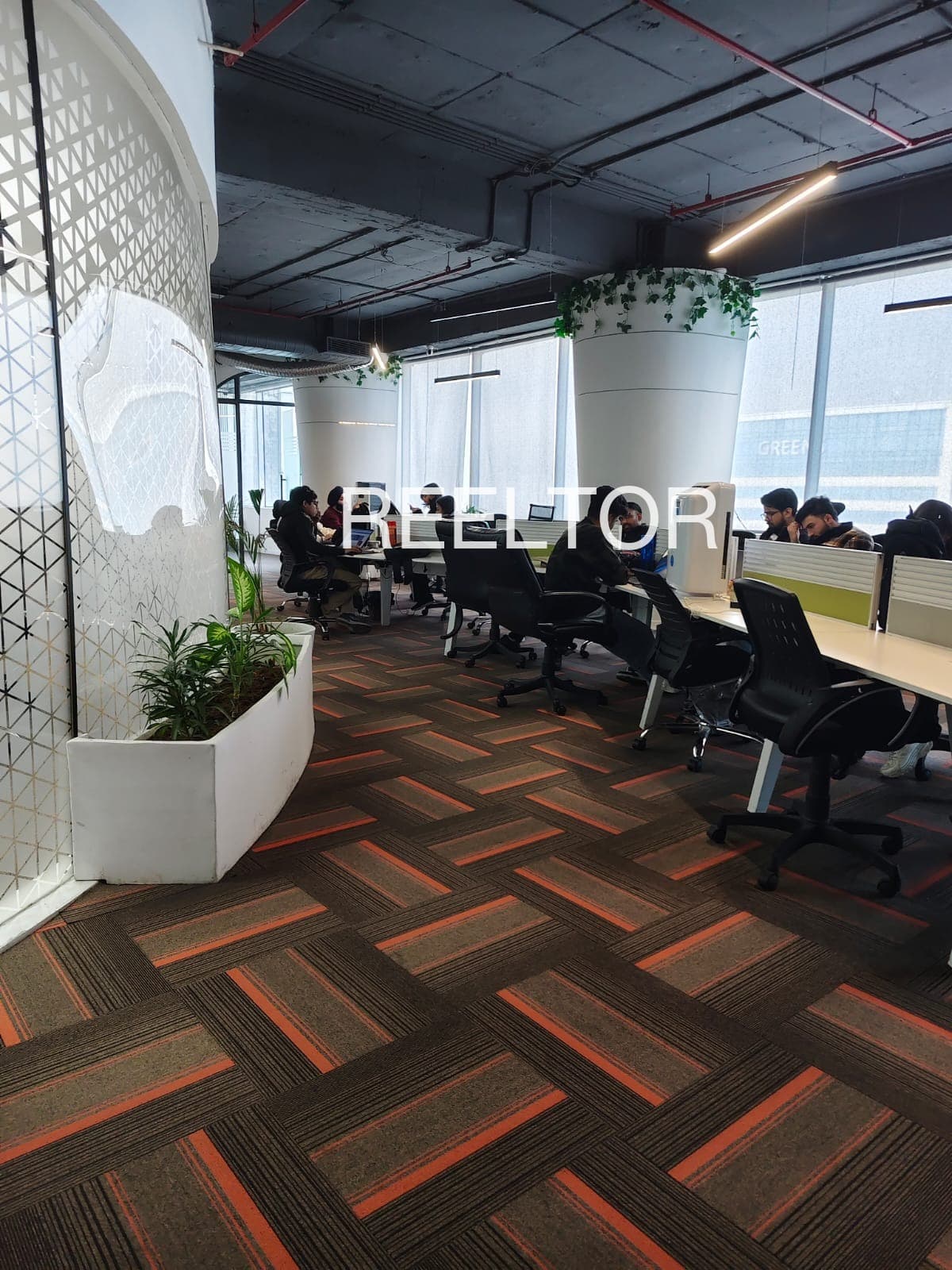 Find 3 Bhk In Badal Complex For Rent Behlana