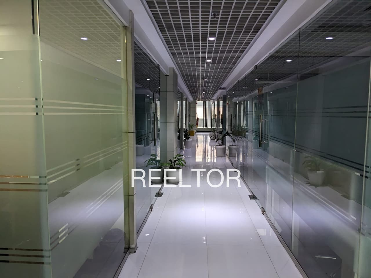 Buy 3 Bhk In Mungwani Seoni