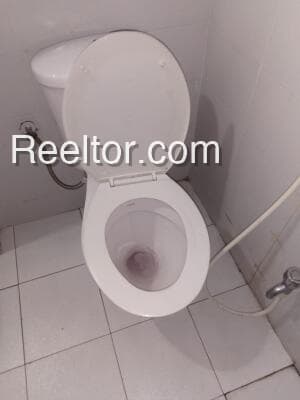 Pg For Rent In Bagrasar Deh