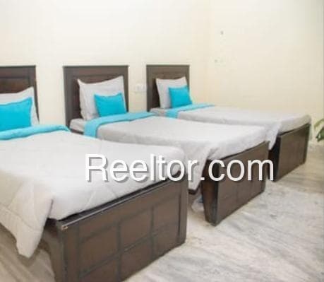 Find 1 Bhk In J P Residency For Rent Damoh