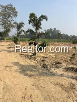 Plot For Sale In Nidadavole