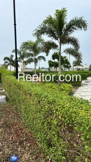 Buy 3 Bhk In Motigarh Bijawar