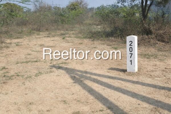 Explore 3 Bhk In Maksudanpur For Sale Gunnaur