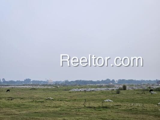 Plot For Sale In Narasaraopet