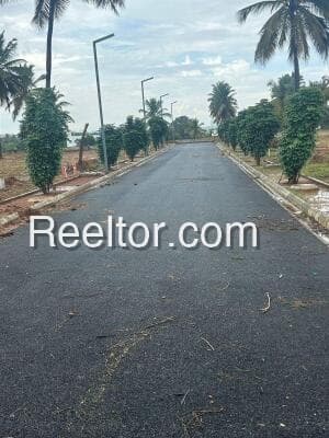Plot For Sale In Tulsipur