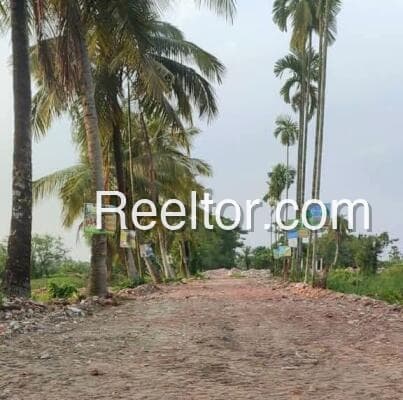 Buy 4 Bhk In Nave Borgaon Tasgaon