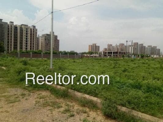 Buy 4 Bhk In Kot Kapura Punjab